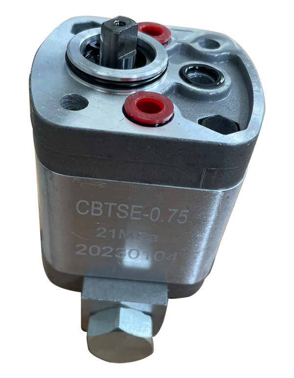 GBTS-E 齿轮油泵